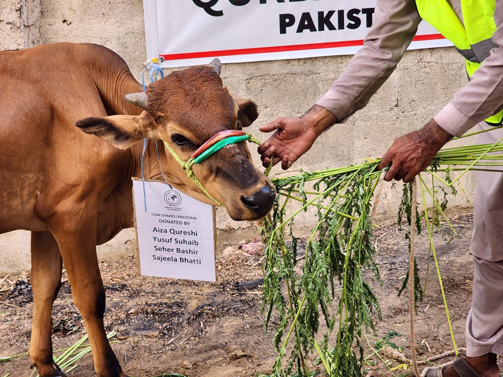Eid Qurbani